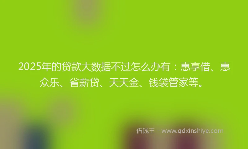 2025年的贷款大数据不过怎么办有：惠享借、惠众乐、省薪贷、天天金、钱袋管家等。