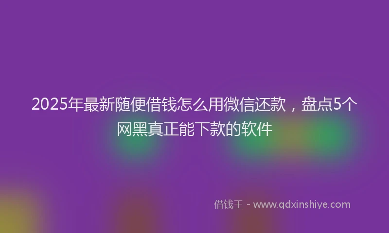 2025年最新随便借钱怎么用微信还款，盘点5个网黑真正能下款的软件