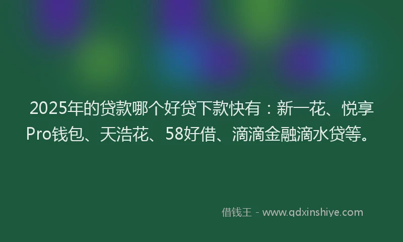 2025年的贷款哪个好贷下款快有：新一花、悦享Pro钱包、天浩花、58好借、滴滴金融滴水贷等。