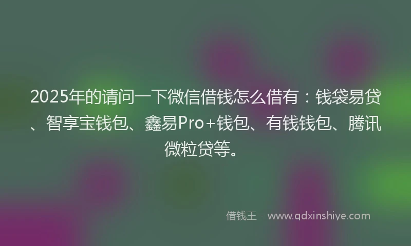 2025年的请问一下微信借钱怎么借有：钱袋易贷、智享宝钱包、鑫易Pro+钱包、有钱钱包、腾讯微粒贷等。