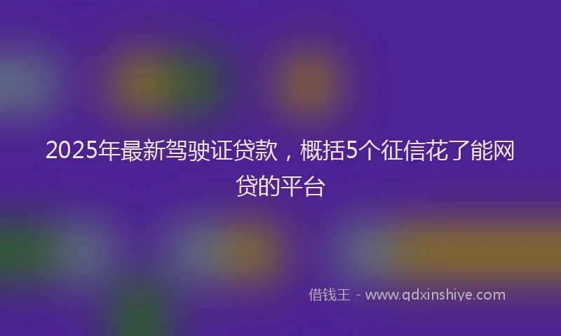 2025年最新驾驶证贷款，概括5个征信花了能网贷的平台