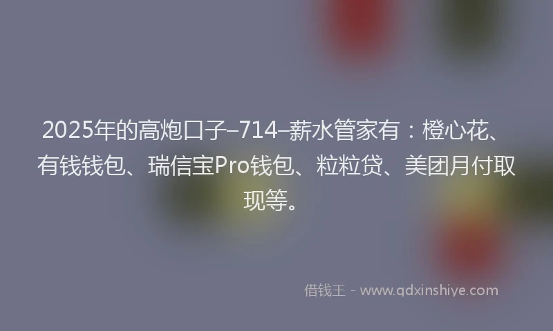 2025年的高炮口子–714–薪水管家有：橙心花、有钱钱包、瑞信宝Pro钱包、粒粒贷、美团月付取现等。