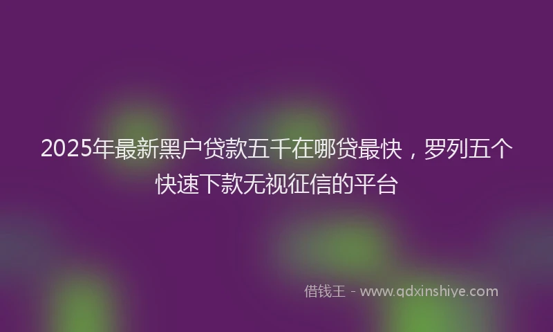 2025年最新黑户贷款五千在哪贷最快，罗列五个快速下款无视征信的平台
