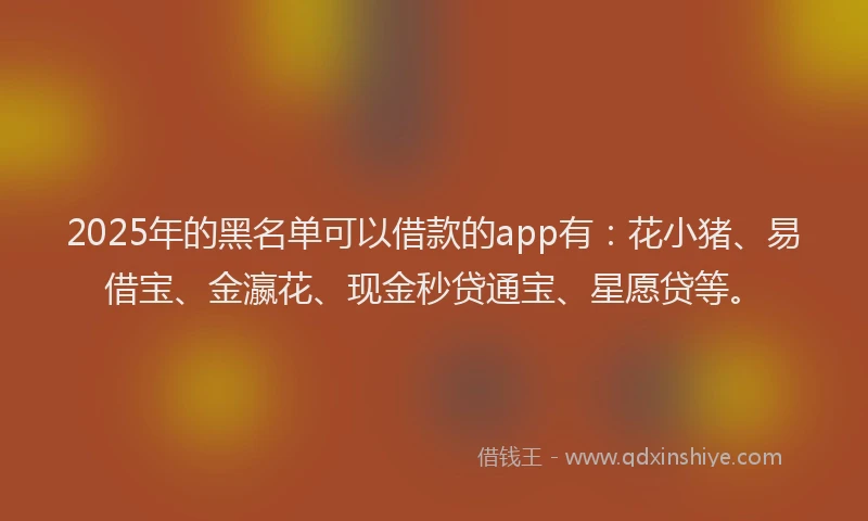 2025年的黑名单可以借款的app有：花小猪、易借宝、金瀛花、现金秒贷通宝、星愿贷等。