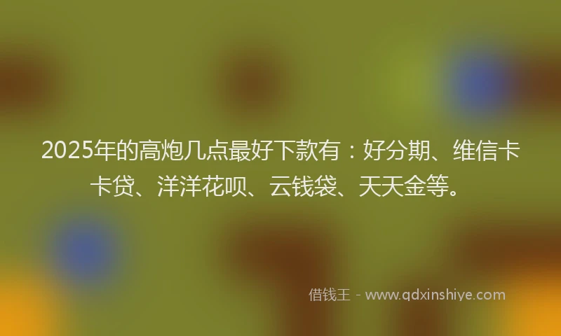 2025年的高炮几点最好下款有：好分期、维信卡卡贷、洋洋花呗、云钱袋、天天金等。