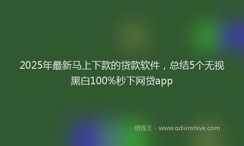 2025年最新马上下款的贷款软件，总结5个无视黑白100%秒下网贷app