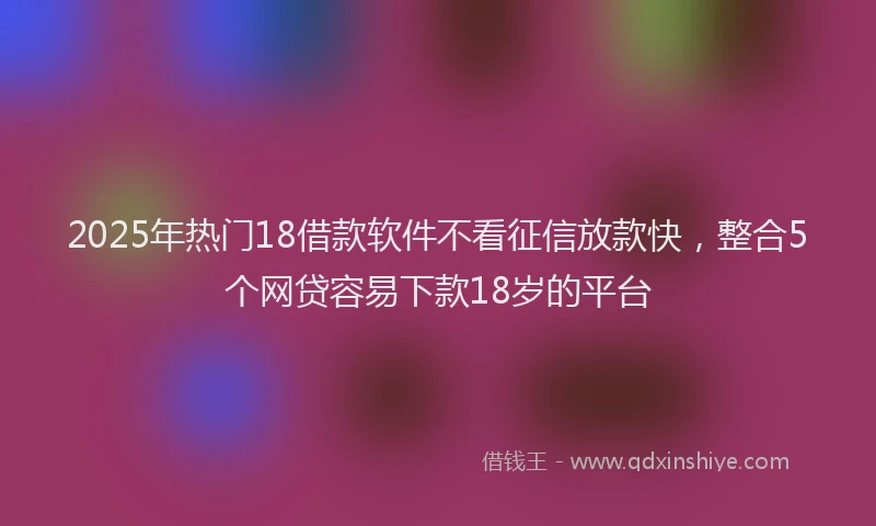 2025年热门18借款软件不看征信放款快，整合5个网贷容易下款18岁的平台
