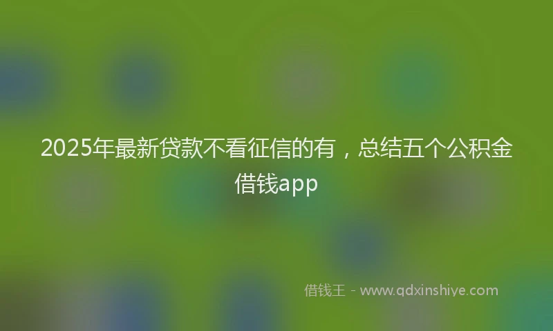 2025年最新贷款不看征信的有，总结五个公积金借钱app