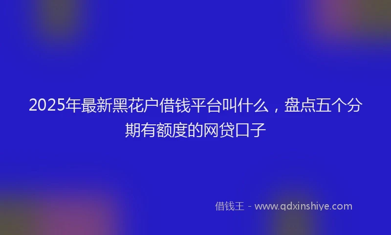 2025年最新黑花户借钱平台叫什么，盘点五个分期有额度的网贷口子