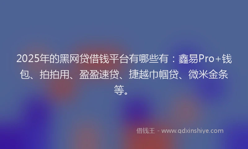 2025年的黑网贷借钱平台有哪些有：鑫易Pro+钱包、拍拍用、盈盈速贷、捷越巾帼贷、微米金条等。