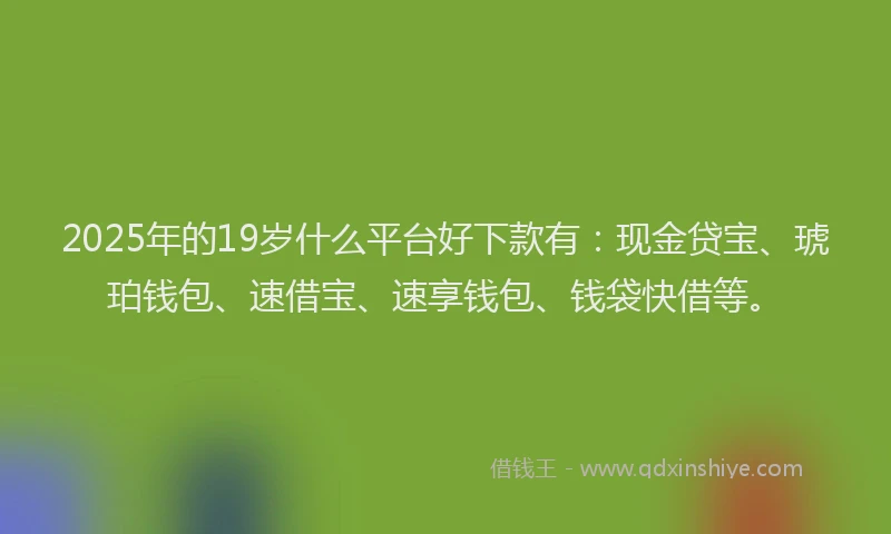 2025年的19岁什么平台好下款有：现金贷宝、琥珀钱包、速借宝、速享钱包、钱袋快借等。