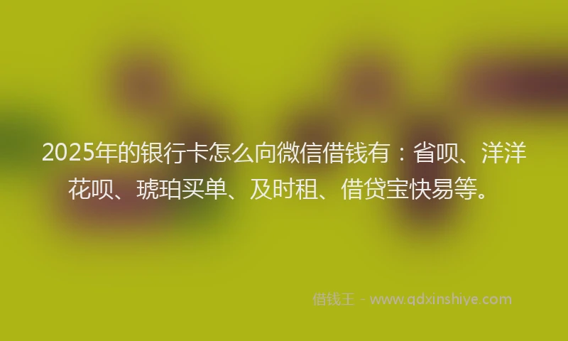 2025年的银行卡怎么向微信借钱有：省呗、洋洋花呗、琥珀买单、及时租、借贷宝快易等。