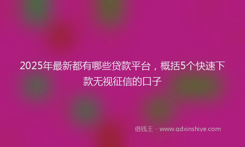 2025年最新都有哪些贷款平台，概括5个快速下款无视征信的口子