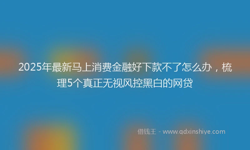 2025年最新马上消费金融好下款不了怎么办，梳理5个真正无视风控黑白的网贷