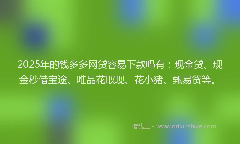 2025年的钱多多网贷容易下款吗有：现金贷、现金秒借宝途、唯品花取现、花小猪、甄易贷等。