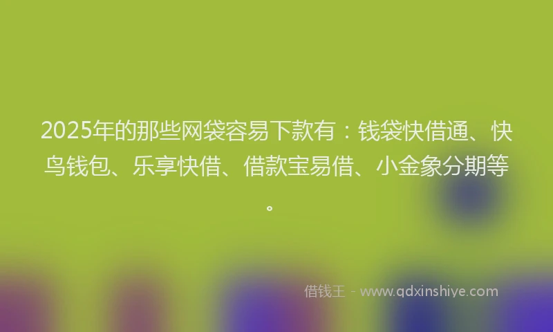2025年的那些网袋容易下款有：钱袋快借通、快鸟钱包、乐享快借、借款宝易借、小金象分期等。