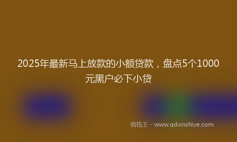 2025年最新马上放款的小额贷款，盘点5个1000元黑户必下小贷