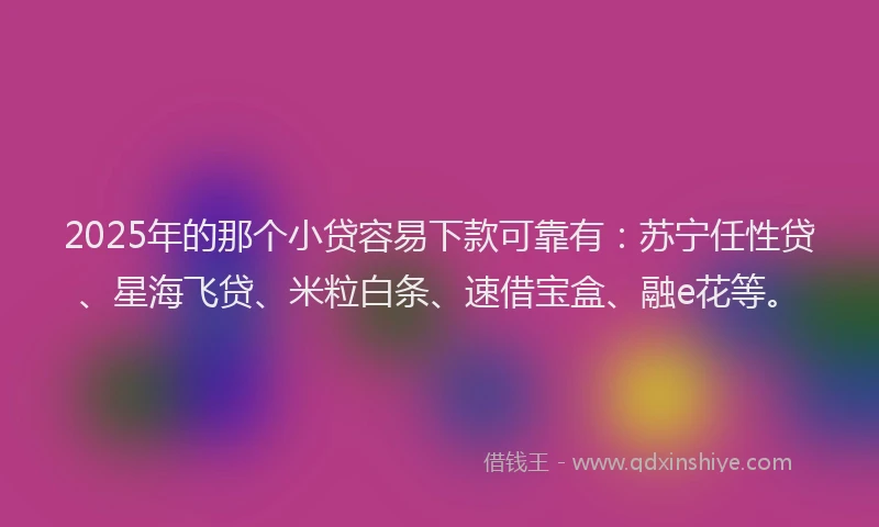 2025年的那个小贷容易下款可靠有：苏宁任性贷、星海飞贷、米粒白条、速借宝盒、融e花等。