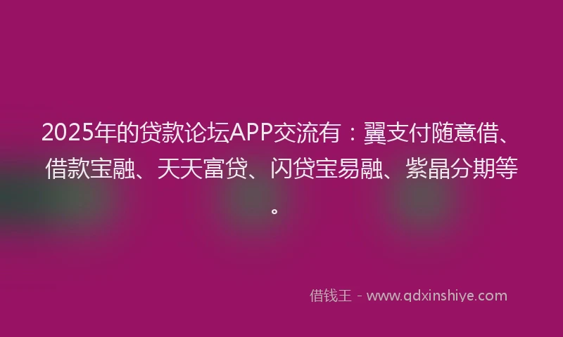 2025年的贷款论坛APP交流有：翼支付随意借、借款宝融、天天富贷、闪贷宝易融、紫晶分期等。