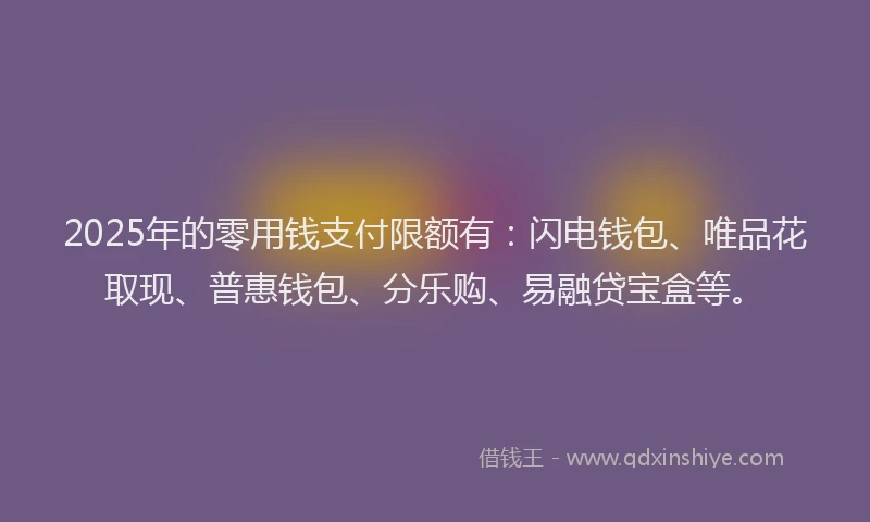 2025年的零用钱支付限额有：闪电钱包、唯品花取现、普惠钱包、分乐购、易融贷宝盒等。