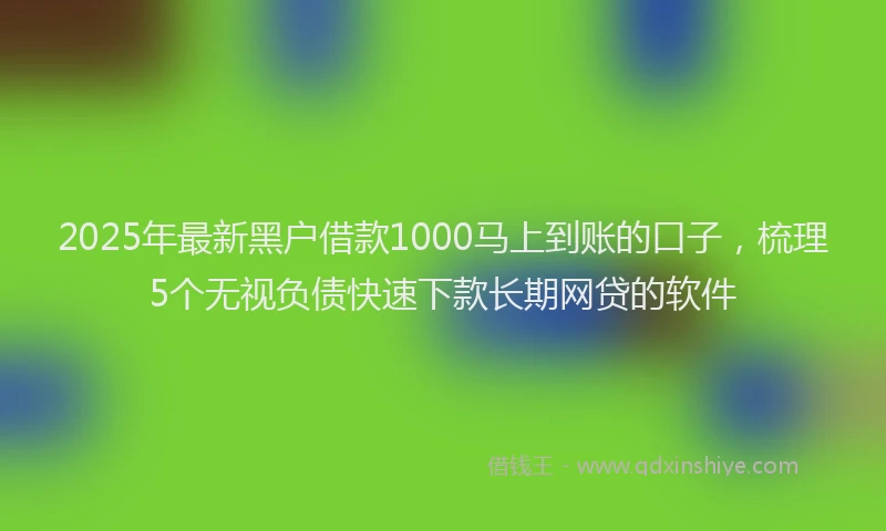 2025年最新黑户借款1000马上到账的口子，梳理5个无视负债快速下款长期网贷的软件
