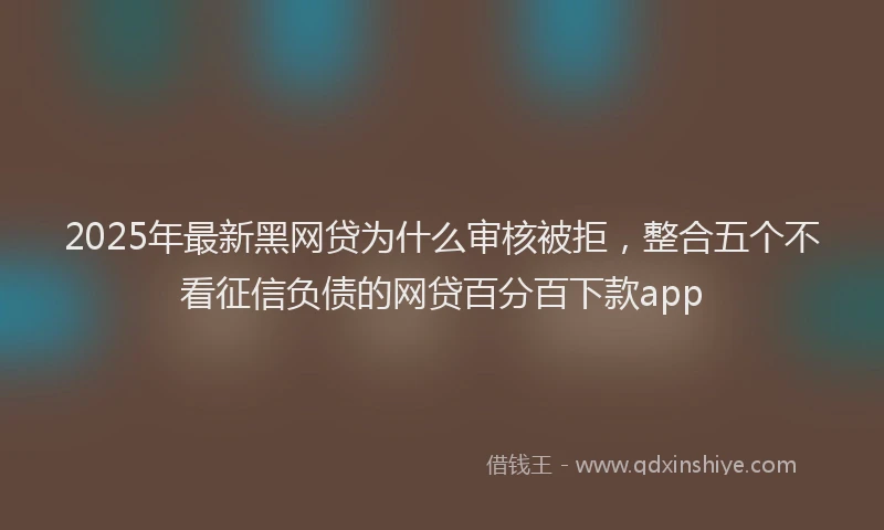 2025年最新黑网贷为什么审核被拒，整合五个不看征信负债的网贷百分百下款app