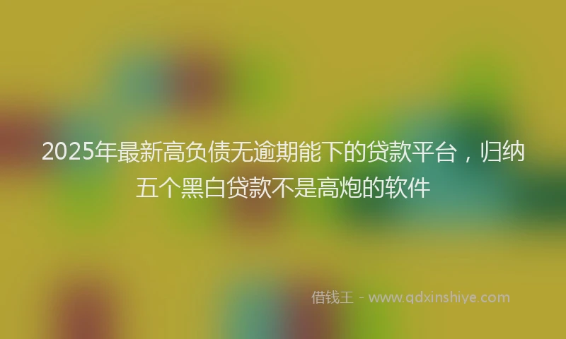 2025年最新高负债无逾期能下的贷款平台，归纳五个黑白贷款不是高炮的软件