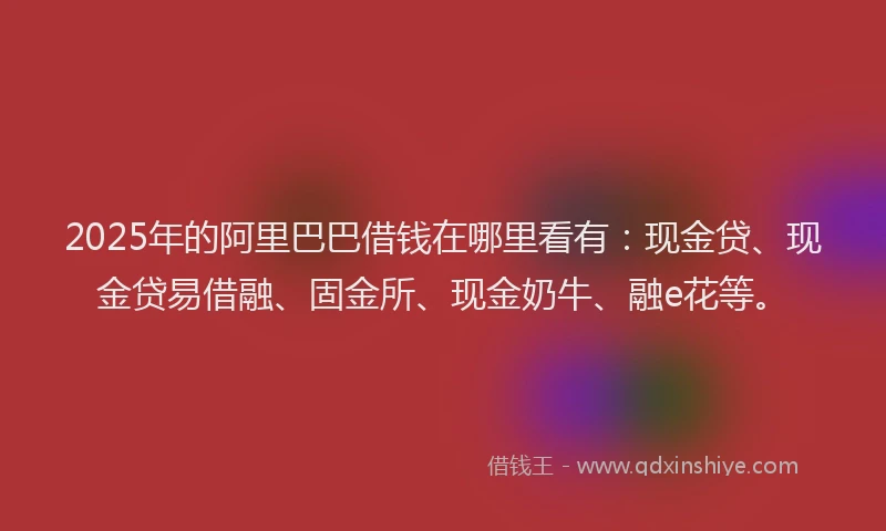 2025年的阿里巴巴借钱在哪里看有：现金贷、现金贷易借融、固金所、现金奶牛、融e花等。