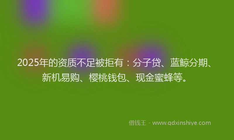 2025年的资质不足被拒有：分子贷、蓝鲸分期、新机易购、樱桃钱包、现金蜜蜂等。