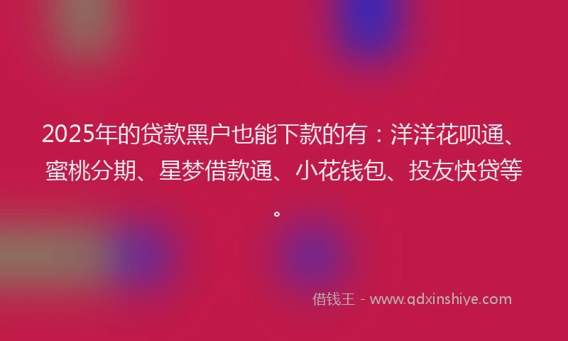 2025年的贷款黑户也能下款的有：洋洋花呗通、蜜桃分期、星梦借款通、小花钱包、投友快贷等。