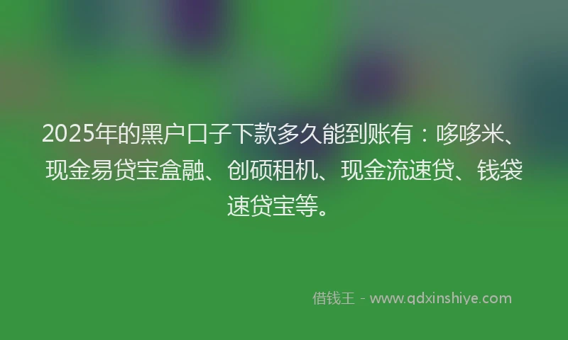 2025年的黑户口子下款多久能到账有：哆哆米、现金易贷宝盒融、创硕租机、现金流速贷、钱袋速贷宝等。