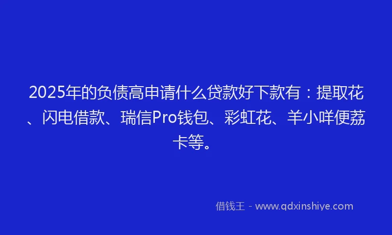 2025年的负债高申请什么贷款好下款有：提取花、闪电借款、瑞信Pro钱包、彩虹花、羊小咩便荔卡等。