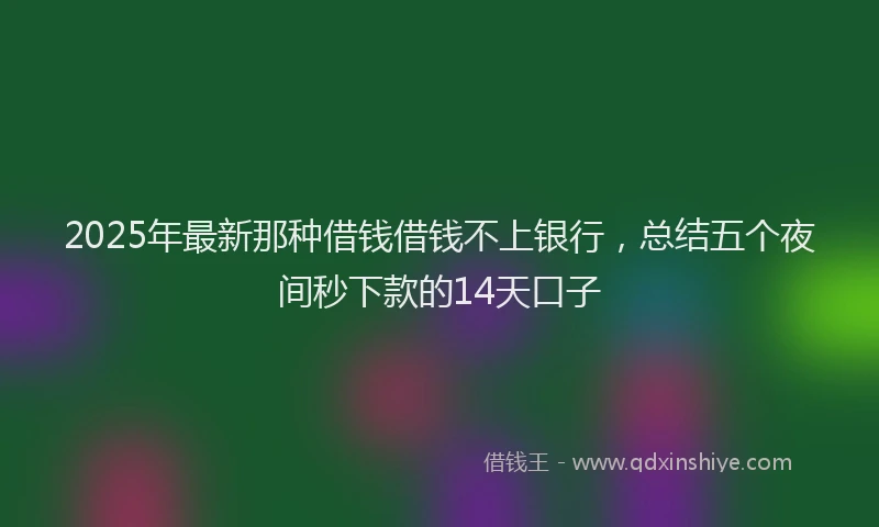 2025年最新那种借钱借钱不上银行，总结五个夜间秒下款的14天口子