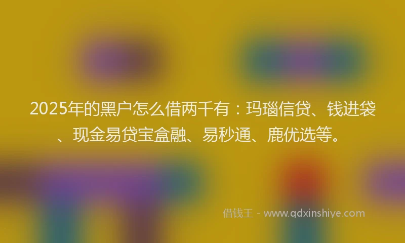2025年的黑户怎么借两千有：玛瑙信贷、钱进袋、现金易贷宝盒融、易秒通、鹿优选等。