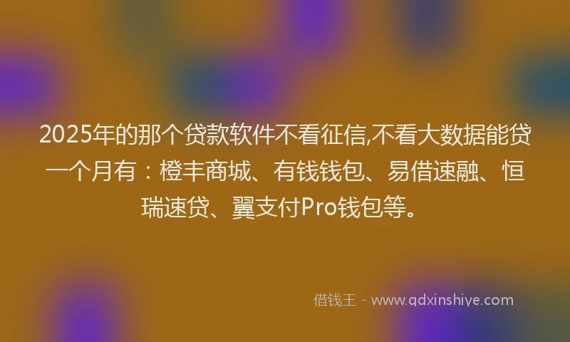 2025年的那个贷款软件不看征信,不看大数据能贷一个月有：橙丰商城、有钱钱包、易借速融、恒瑞速贷、翼支付Pro钱包等。