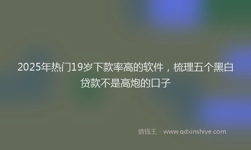 2025年热门19岁下款率高的软件，梳理五个黑白贷款不是高炮的口子