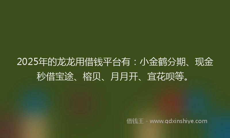 2025年的龙龙用借钱平台有：小金鹤分期、现金秒借宝途、榕贝、月月开、宜花呗等。