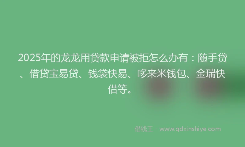 2025年的龙龙用贷款申请被拒怎么办有：随手贷、借贷宝易贷、钱袋快易、哆来米钱包、金瑞快借等。