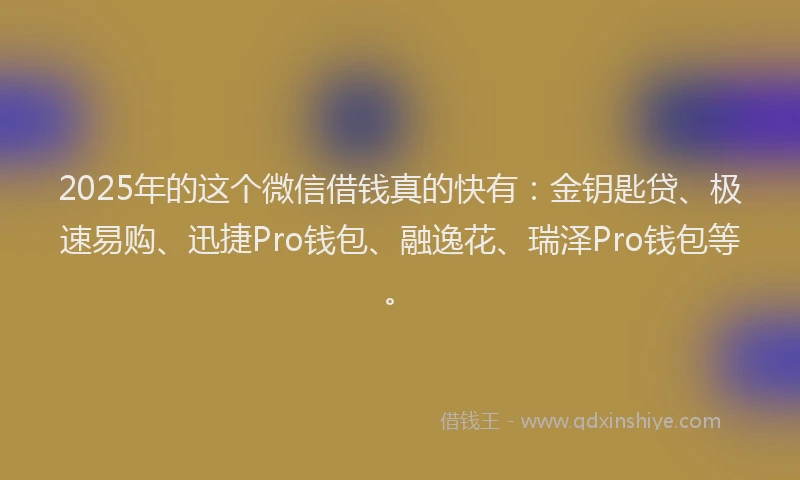 2025年的这个微信借钱真的快有：金钥匙贷、极速易购、迅捷Pro钱包、融逸花、瑞泽Pro钱包等。
