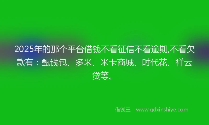 2025年的那个平台借钱不看征信不看逾期,不看欠款有：甄钱包、多米、米卡商城、时代花、祥云贷等。