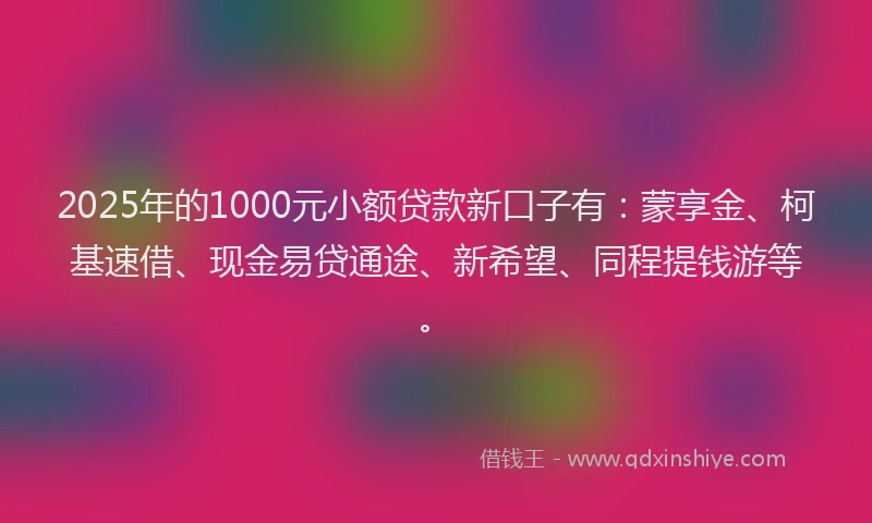 2025年的1000元小额贷款新口子有：蒙享金、柯基速借、现金易贷通途、新希望、同程提钱游等。