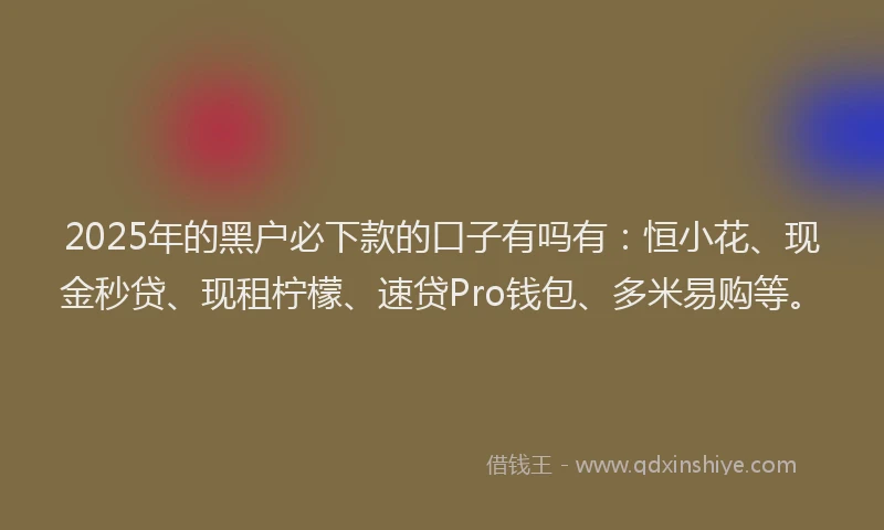 2025年的黑户必下款的口子有吗有：恒小花、现金秒贷、现租柠檬、速贷Pro钱包、多米易购等。