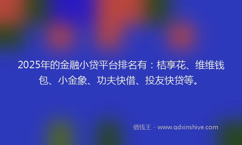 2025年的金融小贷平台排名有：桔享花、维维钱包、小金象、功夫快借、投友快贷等。