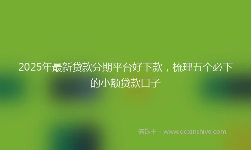 2025年最新贷款分期平台好下款，梳理五个必下的小额贷款口子
