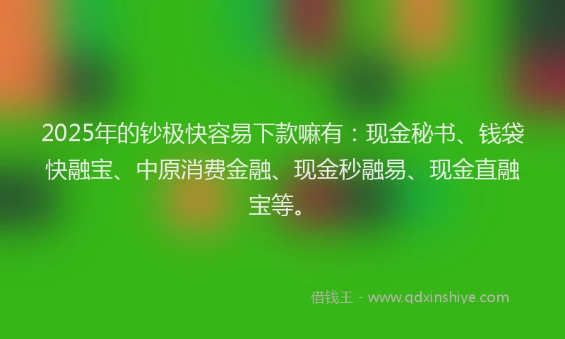 2025年的钞极快容易下款嘛有：现金秘书、钱袋快融宝、中原消费金融、现金秒融易、现金直融宝等。