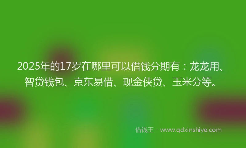 2025年的17岁在哪里可以借钱分期有：龙龙用、智贷钱包、京东易借、现金侠贷、玉米分等。