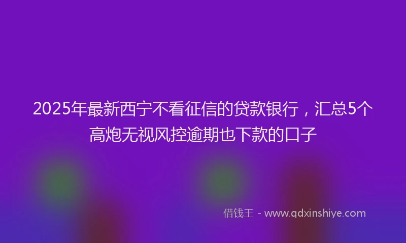 2025年最新西宁不看征信的贷款银行，汇总5个高炮无视风控逾期也下款的口子