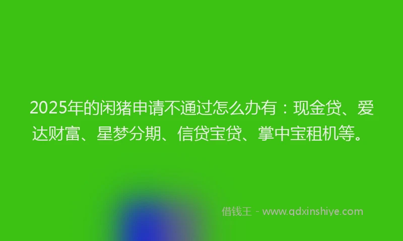 2025年的闲猪申请不通过怎么办有：现金贷、爱达财富、星梦分期、信贷宝贷、掌中宝租机等。