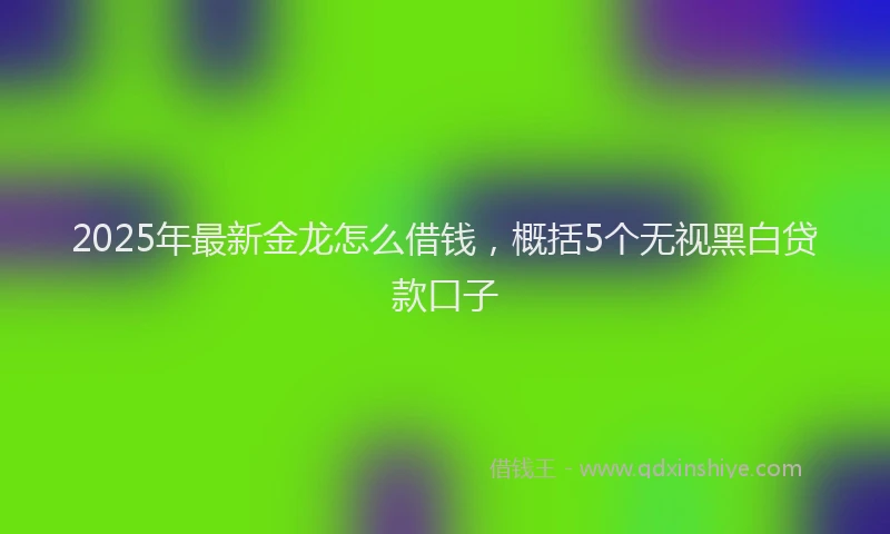2025年最新金龙怎么借钱，概括5个无视黑白贷款口子