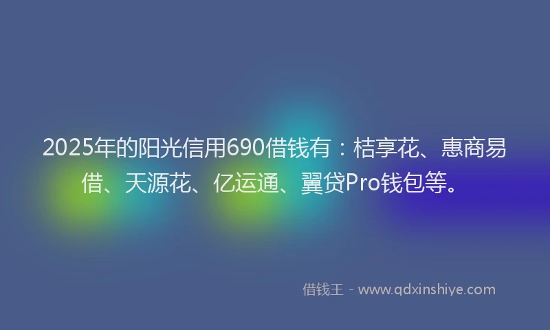 2025年的阳光信用690借钱有：桔享花、惠商易借、天源花、亿运通、翼贷Pro钱包等。